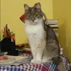 Отзыв от Надежда Елисеева